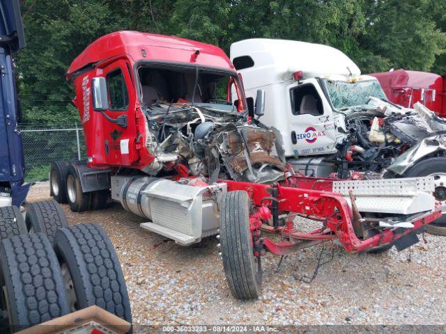  Salvage Freightliner Cascadia 113