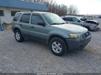  Salvage Ford Escape