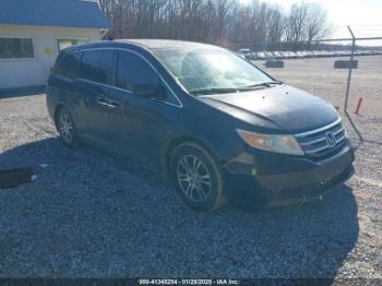  Salvage Honda Odyssey